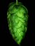 hops source